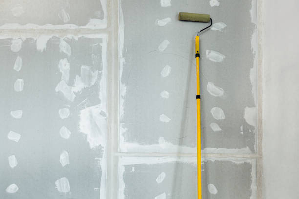 Best Biohazard Mold Removal  in Sulphur, OK