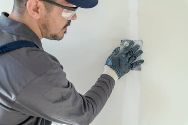 Best Mold Remediation for Vacation Homes  in Sulphur, OK