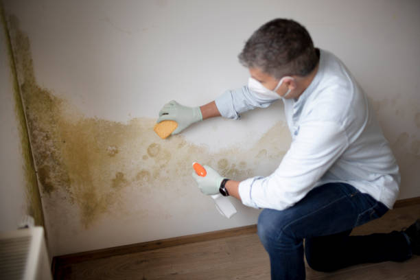 Best HVAC Mold Inspection and Cleaning  in Sulphur, OK
