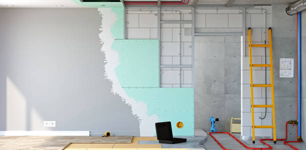 Best Attic Mold Removal  in Sulphur, OK