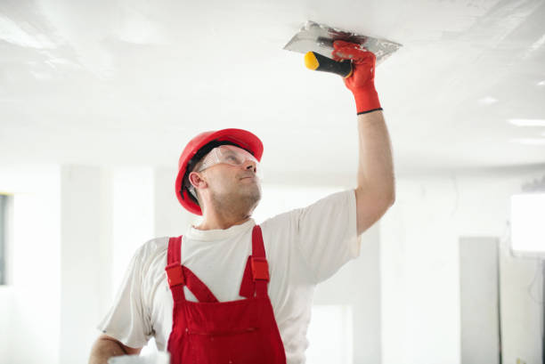 Best Mold Documentation for Insurance Claims  in Sulphur, OK