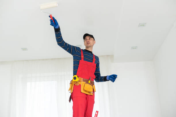 Best Mold Remediation for Healthcare Facilities  in Sulphur, OK