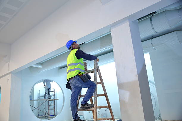 Best Industrial Mold Remediation  in Sulphur, OK